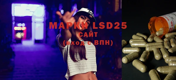гашик Вязники