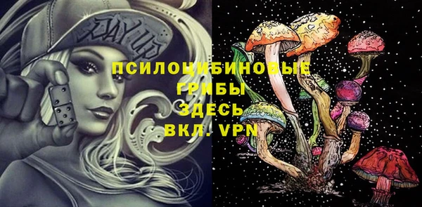 a pvp Горняк
