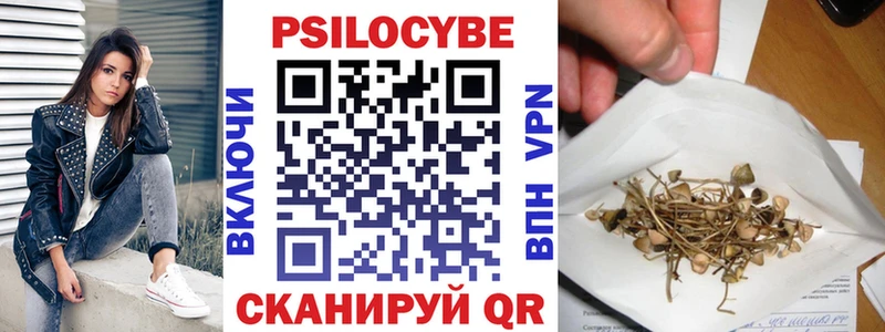Купить  Каменка  Псилоцибиновые грибы Psilocybine cubensis 