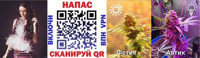 Шишки марихуана THC 21%  Купить  Каменка 